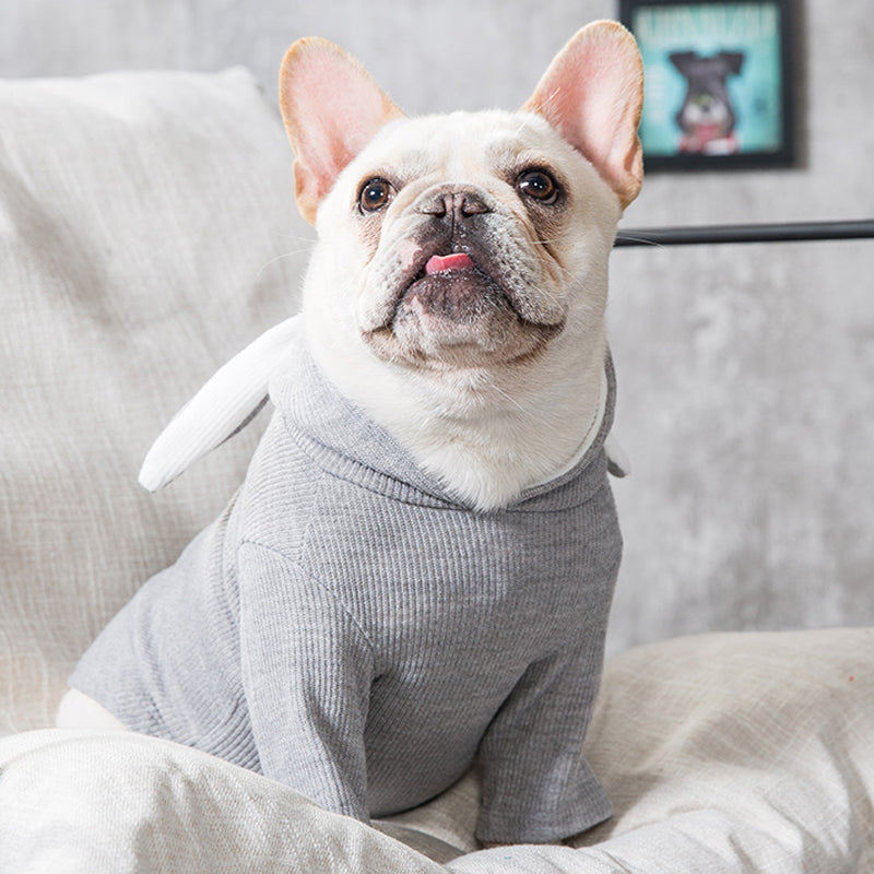 Cozy Spring & Autumn Dog Sweater - Soft & Lightweight Pet Knitwear