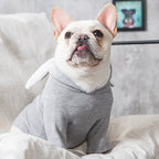 Cozy Spring & Autumn Dog Sweater - Soft & Lightweight Pet Knitwear