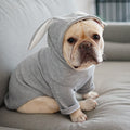Cozy Spring & Autumn Dog Sweater - Soft & Lightweight Pet Knitwear