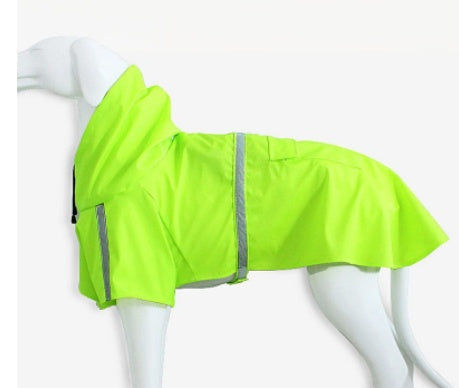 large-dog-wearing-reflective-rain-cape-night-safety
