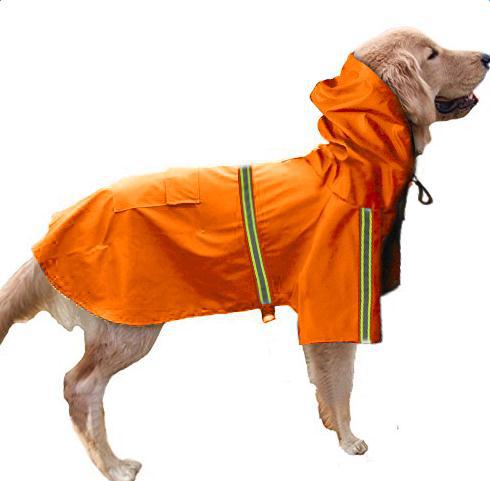 large-dog-wearing-reflective-rain-cape-night-safety