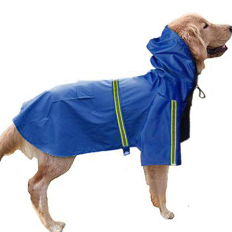 Dog wearing a blue raincoat on a white background
