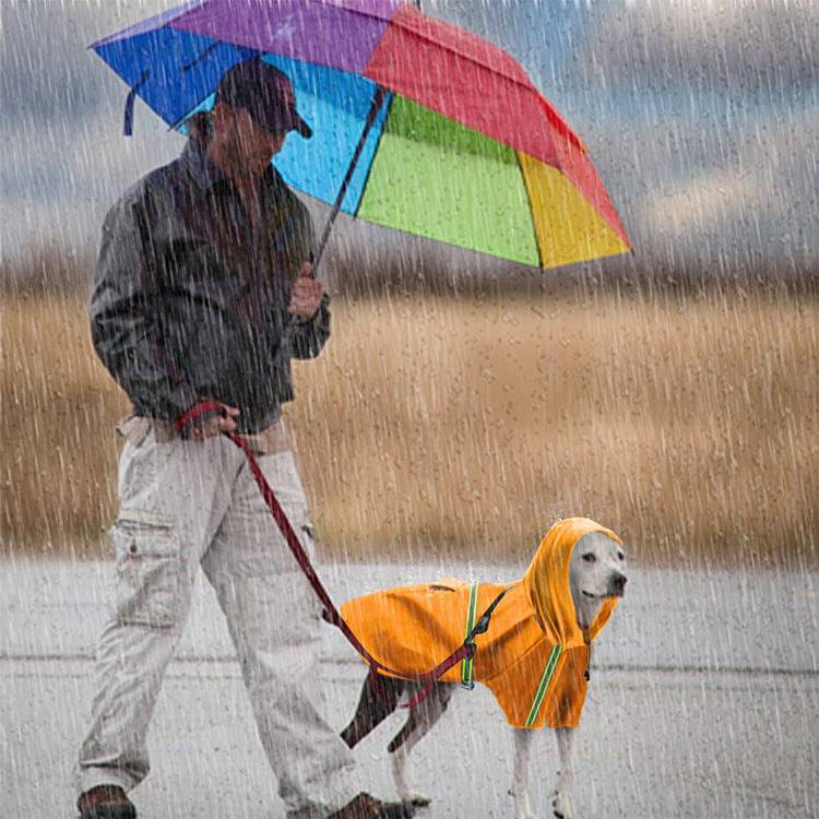 large-dog-wearing-reflective-rain-cape-night-safety