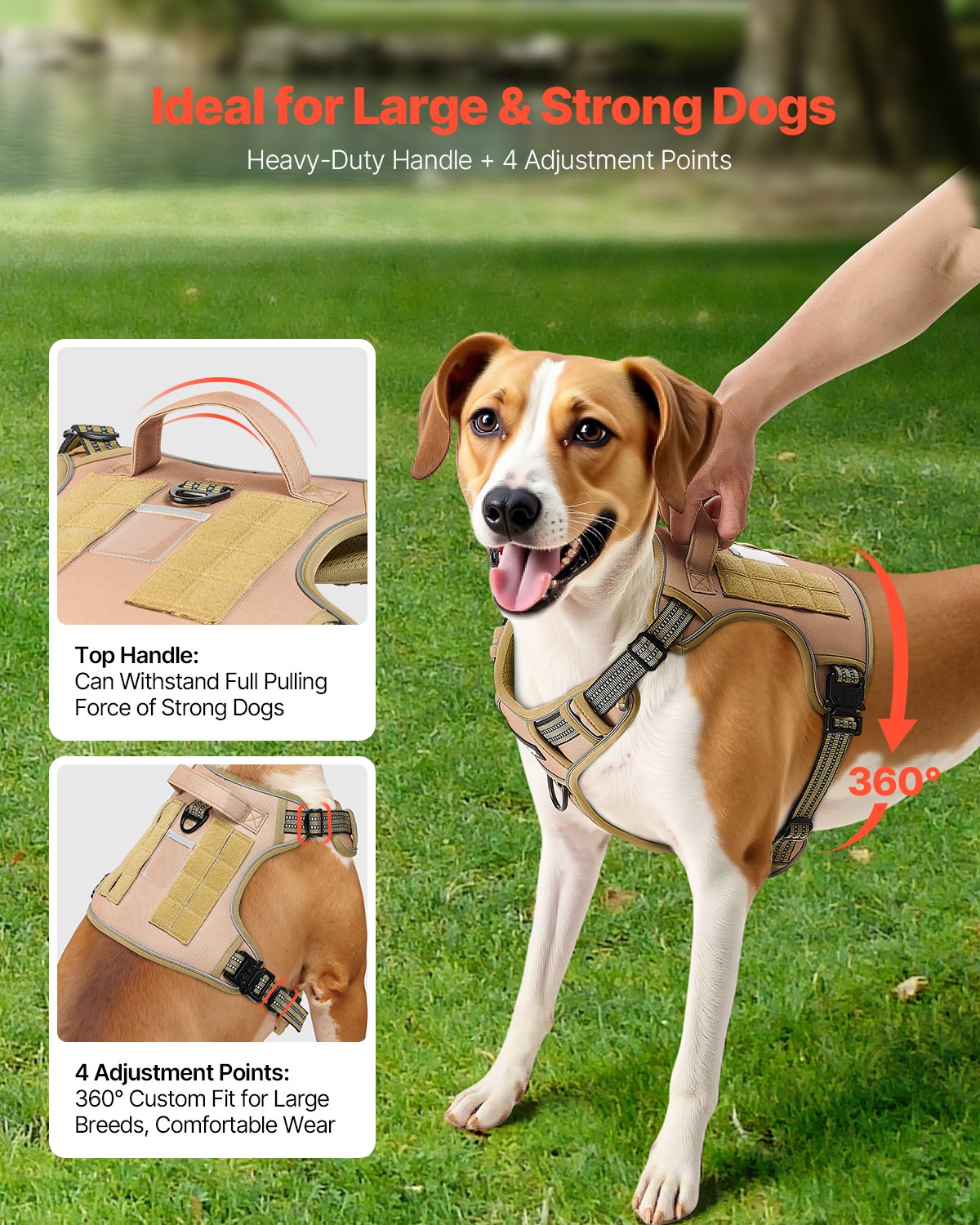 Dog Essentials