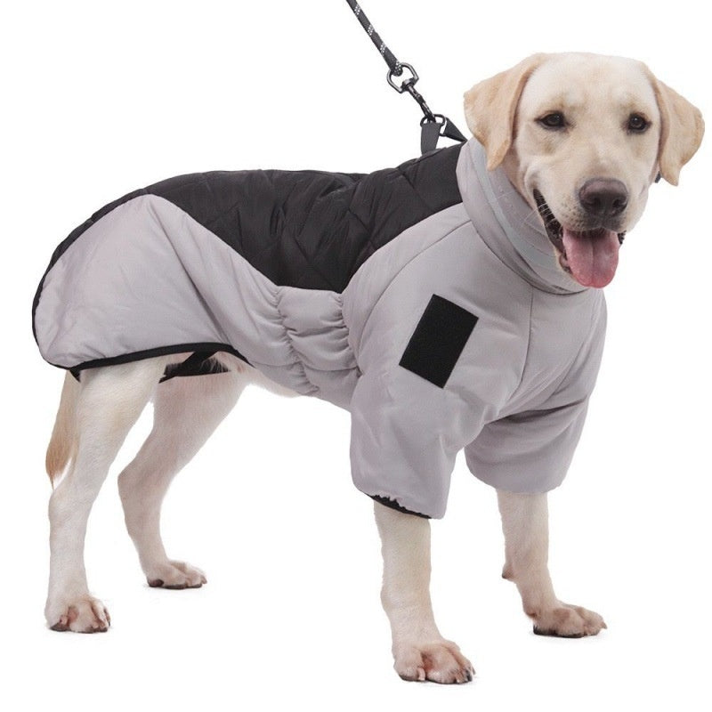 Pets Clothes
