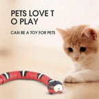Interactive Electric Induction Snake Funny Cat Toy