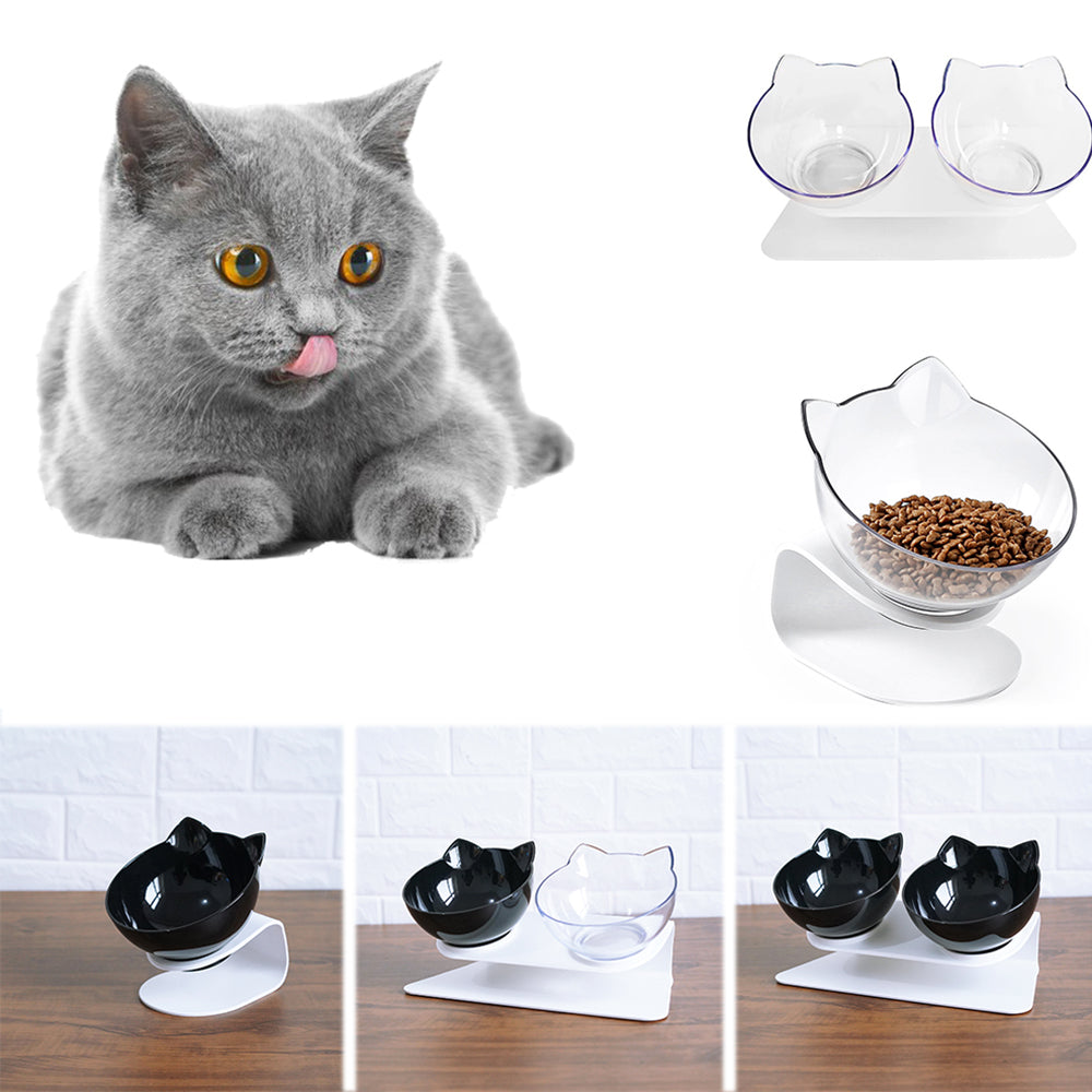 Cat Essentials
