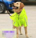 large-dog-wearing-reflective-rain-cape-night-safety